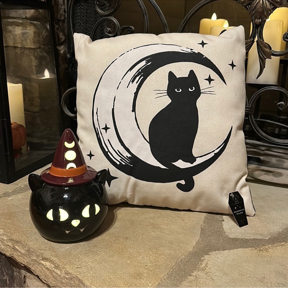 NWT Halloween Fall Decor LED Light Up Ceramic Black Cat with Black Cat Pillow